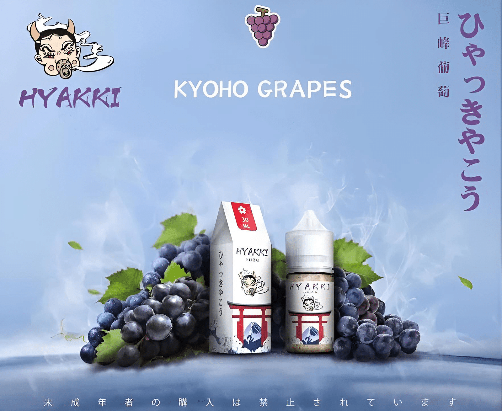 HYAKKI 哈亞齊日系進口 30ml/35mg 小煙專用煙油|711貨到付款:圖片 10